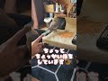 かわいい兄弟ゲンカ オカメインコ cockatiel