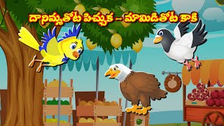 దానిమ్మ తోట పిచ్చుక మామిడి తోట కాకి | Supergoodtvstories | Birds stories in telugu | Birds stories