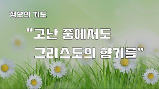 (4월 둘째주 정오의 기도) 고난 속에서도 그리스도의 향기를