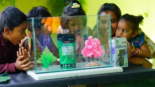 My New Aquarium Setup| மீன் தொட்டி வாங்கின பிறகு வீட்டில் நடந்த கலகலப்புக்கு அளவே இல்லை..