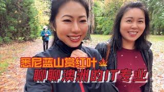 看悉尼最美红叶，聊澳洲大学IT专业区别，IT毕业如何找工作？