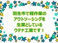 羽生市　電気部品　軽作業の業務請負　アウトソーシング