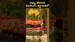 కళ్ళు తెరిచిన శివలింగం | కర్ణాటక | #shorts #hindu #god #mahadev #shiv