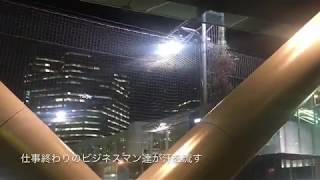 【世界のオアシス】東京・大崎駅 オフィス街の中の癒しスポットとは？