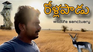 Rollapadu | Wildlife Sanctuary | Nandyal