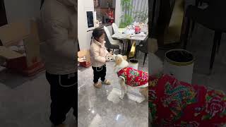 小主人放假了每天可以一起玩 #可爱狗狗 #funny #看一遍笑一遍笑得肚子疼 #萌宠