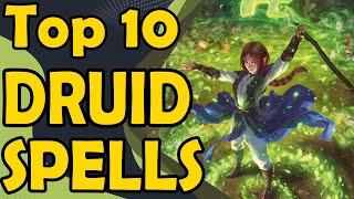 Top 10 Best Druid Spells To Really Feel Like A Druid