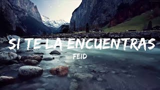 Feid - Si Te La Encuentras Por Ahí (Letra/Lyrics)