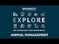 Sparsholt College | On Demand Open Event | Animal Management