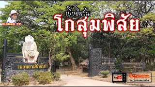 อำเภอโกสุมพิสัย