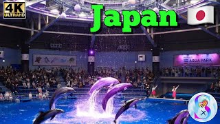 Japan 🇯🇵 Shinagawa Aquarium in Tokyo Enjoy Dolphin 🐬 show visit 2024