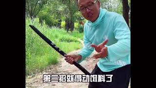 小杂鱼闹窝怎么办？四招解决