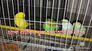 মাঝে মাঝে নিজের রান্নার প্রশংসা নিজে করলে ক্ষতি কি?তাও যদি হয় পছন্দের শুটকি মাছ।@raisatasmiavlog