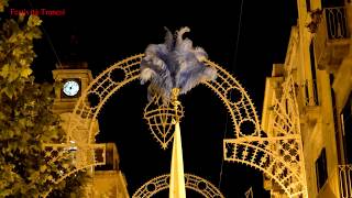 TRANI - Solennità della B.V. Maria Assunta in Cielo - Solenne Processione