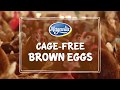 Magnolia Chicken: Cage-Free Brown Eggs