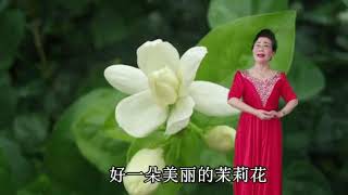 00027王艺霈独唱《好一朵美丽的茉莉花》