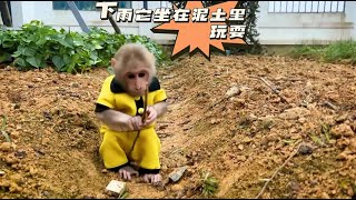 小猴子弄脏了衣服，害怕爸爸责备，主动跑去拿浴巾找爸爸帮他洗澡