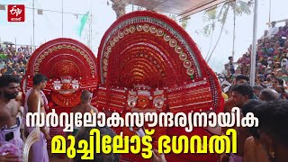 തെയ്യങ്ങളിൽ അതി സുന്ദരി...!: അപൂർവമായി രണ്ടു മുച്ചിലോട്ട് ഭഗവതിമാരുടെ തിരുമുടി