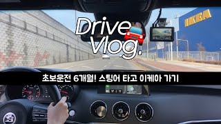 🚘 초보운전 브이로그 | 스팅어 | 고양 이케아 가는 길 | 차랑 낯가리는중 | 톨게이트에서 쉼터가기 | 꿀같은 오후반차