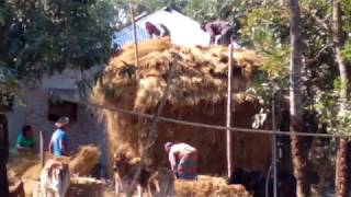 %%খড়ের গাদা/কারীর টালি HAYSTACK||BD FARMER%%