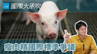 美豬美牛萊克多巴胺的「國際標準」，其實爭議很大｜國際大風吹 Ep.125