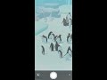 penguin isle gameplay litte penguin unlocked