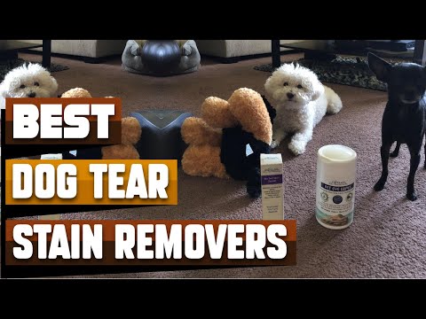 What is the best tear stain remover?