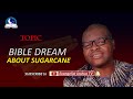 Bible Dream About SUGARCANE - Seeing, Eating, Cutting, Buying Sugarcane Meaning and Symbolism