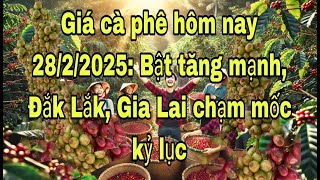 Giá cà phê hôm nay 28/2/2025: Bật tăng mạnh, Đắk Lắk, Gia Lai chạm mốc kỷ lục//Huy Đặng TV