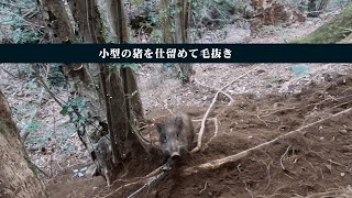 【害獣駆除】小型猪を仕留めて毛ぬき21 2 5