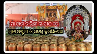 ମାତାରାତାରିଣୀଙ୍କ ପିଠରେ ମୂଳା ଅଷ୍ଟମୀ ଓ ସହସ୍ର କୁମ୍ଭାଭିଷେଖ