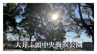 【散歩】大井ふ頭中央海浜公園