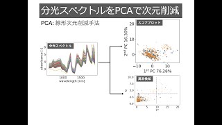 【Python】Google CoLabでPCA入門 概要説明