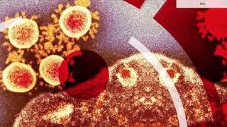 BBC "Coronavirus Explained" Part 2 Open