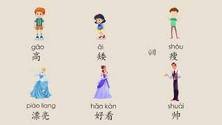 外表, Describing Appearance in Mandarin, All about Me, Chinese learning Cards, 汉语教学词卡, MrSunMandarin