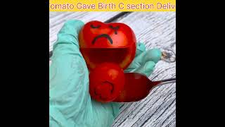 Tomato C-Section - A Boy 😱🍅  #fruitsurgery #shorts  #animation #foodsurgery #cute #baby boy