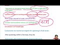 animal kingdom class 11 13 neet subphylums vertebrata class cyclostomata ncert cbse