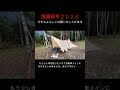 謹賀新年2025 shorts short solo あけおめ ロードバイク サイクリング cycle 自転車 roadbike camping camp 2025