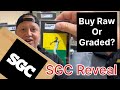 SGC Reveal- 10 Clemente Cards! Better To Buy Raw Or Graded Cards? Let’s Investigate!