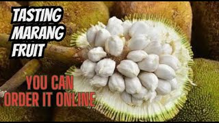 Tasting Marang Fruit