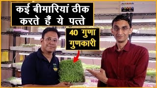 सब्जियों से 40 गुणा तक गुणकारी है माइक्रोग्रीन्स, कई बीमारियां ठीक करते हैं || Technical Farming ||