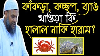 কাঁকড়া, কচ্ছপ,ব্যাঙ খাওয়া কি হালাল নাকি হারাম? প্রশ্ন উত্তর পর্ব। আব্দুর রাজ্জাক বিন ইউসুফ। 