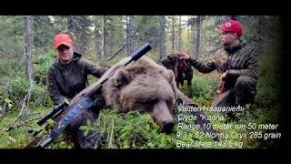 WTPHC - Bear hunting -  Karhujahti 14.9.2019  Ranua