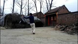 Baguazhang-Single Change Palm