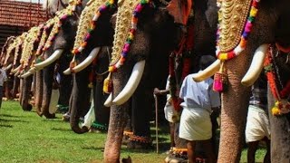 ചേരമുടി,മുറജപം ലക്ഷദീപം വിവരണം..❤️