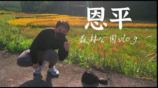 恩平七星坑森林公园 | 珠三角唯一原始森林