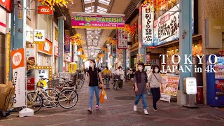 4K 東京お花茶屋エリアの大散策