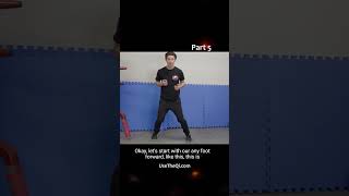 10 Minute Wing Chun Workout Exercises - Routine 1 - Punching and Moving Part 5 #shorts