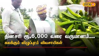 தினசரி ரூ.6,000 வரை வருமானம்… கலக்கும் விழுப்புரம் விவசாயிகள் Farmers