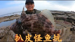 【小俞赶海】赶海盘双子坑，抓获各种海货，鞋垫鱼、扒皮鱼、石九公，太刺激了